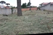 Terreno à venda na Rua Águas Marinhas, 000, Jardim das Acácias, Campo Largo