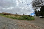 Terreno à venda na Rua Nestor Alves de Campos, 843, Uvaranas, Ponta Grossa