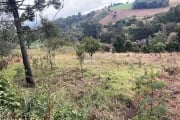 Terreno à venda na Rua Vicente de Col, 00, Pagnoncelli, Pato Branco