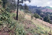 Terreno à venda na Rua Vicente de Col, 00, Pagnoncelli, Pato Branco