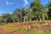 Terreno comercial à venda na Rua Vicente de Col, 00, Pagnoncelli, Pato Branco