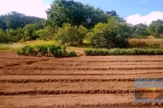 ATENÇÃO LINDA ÁREA DE 12.335,90 M2 PLANA E PLANTADA ESTUDO CARRO E IMOVEL NO PAGAMENTO