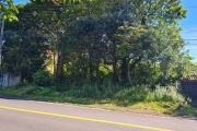 Terreno à venda na Estrada Afonso Lourenço Mariante, 204, Lomba do Pinheiro, Porto Alegre