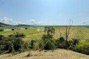 Terreno comercial à venda na Avenida Manacá, 115, Areias, Tijucas