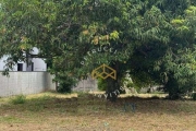 Terreno Residencial à venda, Parque Luciamar, Campinas - TE0091.