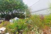 Terreno Comercial à venda, Jardim Nova Europa, Campinas - TE0325.