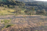 Área, 37360 m² - venda por R$ 2.500.000,00 ou aluguel por R$ 10.000,00 - Joaquim Egídio - Campinas/SP