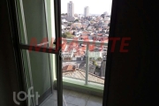 Apartamento com 3 quartos à venda na Rua Santa Maria Goretti, 225, Vila Maria Alta, São Paulo