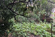 Terreno comercial à venda na Rua Doutor Mário Totta, 2210, Tristeza, Porto Alegre