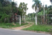 Terreno comercial à venda na Rua Orquídea, 474, Lomba do Pinheiro, Porto Alegre