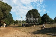 Terreno comercial à venda na Estrada Francisca de Oliveira Vieira, 2485, Belém Novo, Porto Alegre