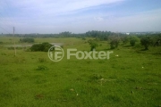 Terreno comercial à venda na Estrada Pará Morungava, 2900, Cadiz, Gravataí