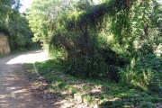 Terreno em Condomínio para Venda em Mairiporã, Jardim Cinco Lagos De Santa Maria