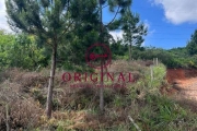 Terreno à venda na Estrada Municipal Avelina Tomazzoni Piccoli, 1, Monte Bérico, Caxias do Sul