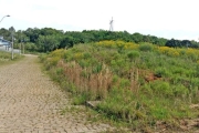 Terreno à venda na Estrada Municipal Avelina Tomazzoni Piccoli, 808, Monte Bérico, Caxias do Sul