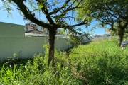 Lote/Terreno a vendaPedra Branca possui 600 m² em rua afaltada