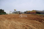 Terreno, 5000 m² - venda por R$ 4.000.000,00 ou aluguel por R$ 30.000,00/mês - Boa Vista - Ponta Grossa/PR