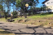 Terreno à venda no Ratones