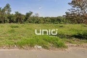 Terreno Comercial à venda, 443 m² por R$ 440.000 - Algodoal - Piracicaba/SP