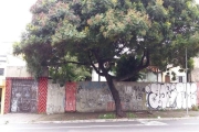 Terreno residencial para Venda na Vila Souza, ótima localização, ao lada da Avenida Inajar de Souza