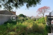 Terreno com 330m² (11x30) no bairro Vila Ipiranga