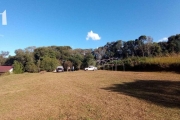 Terreno à venda, 4493 m² por R$ 895.000,00 - Fazendinha - Campo Largo/PR