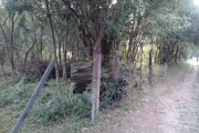 Terreno à venda na Rua Dolores Duran, 327, Agronomia, Porto Alegre