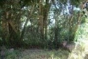 Terreno para Venda - 0m², 0 dormitórios, Belém Novo