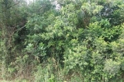 Terreno para Venda - 0m², 0 dormitórios, Restinga