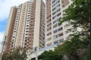 Apartamento à venda no Jaçanã, São Paulo-SP: 2 quartos, 1 banheiro, 1 vaga e 51m². Confira já!