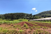 ÁREA DE 30.300M² A VENDA EM GRAMADO, LINHA AVILA!, Estrada Linha Avila, Gramado - RS