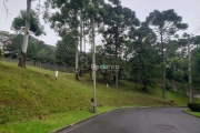 TERRENO À VENDA, 2359 M² - MATO QUEIMADO - GRAMADO/RS, O Bosque, Gramado - RS