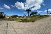 Terreno à venda na Rua General Alexandre Moss Simões dos Reis, 1, São Ciro, Caxias do Sul