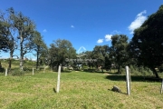 Terreno à venda na Rua General Alexandre Moss Simões dos Reis, 1, São Ciro, Caxias do Sul