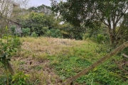 Terreno para Venda - 0m², 0 dormitórios, Tristeza