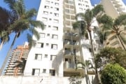 Apartamento 65 m² Localizado No Bairro Vila Mascote v