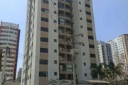 Apartamento 3 Dormitórios no Alto da Lapa 78 m2.