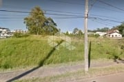 Terreno à venda na Avenida Juca Batista, 2775, Ponta Grossa, Porto Alegre