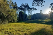 TERRENO EM CONDOMINIO FECHADO NO CAMPO LARGO, 1.060,12 m2, OPORTUNIDADE