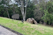 Terreno para Venda em Florianópolis, Cacupé