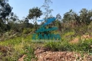 TERRENO SEMI PLANO DE 3.833M² ENTRE COLÔNIA E CAXAMBU