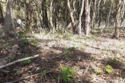 Terreno para Venda em Cotia, Granja Viana