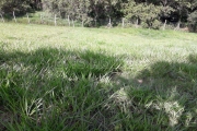 Terreno para Venda em Cotia, Granja Viana