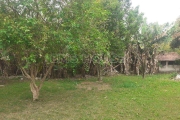 Terreno para Venda em Cotia, Granja Viana