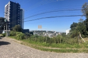 Terreno à venda na Rua Pedro Pezzi, 1236, Panazzolo, Caxias do Sul