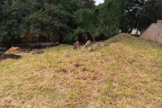 Terreno em condomínio fechado à venda na Rua Leblon, S/N°, Loteamento Caminhos de San Conrado (Sousas), Campinas