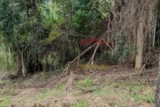 Terreno a venda, Condomínio fechado, Jardim Peri, Condomínio Fechado, Itaguaçu da Cantareira