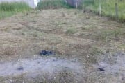 Terreno para Venda em Itanhaém no bairro Ivoty