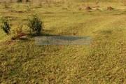 Terreno em Bairros em Sorocaba