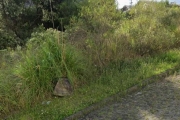 Terreno à venda na Estrada Municipal Benvenuto Toss, 851, São Luiz, Caxias do Sul